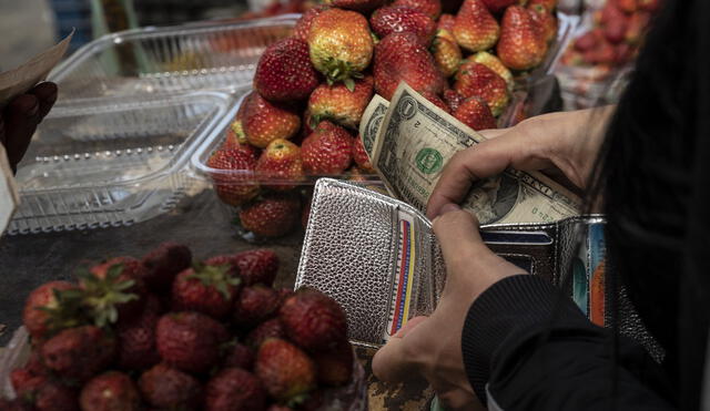 A cómo amaneció el precio del dólar en Venezuela hoy, martes 30 de agosto de 2022, según el mercado oficial y el mercado paralelo. Foto: AFP
