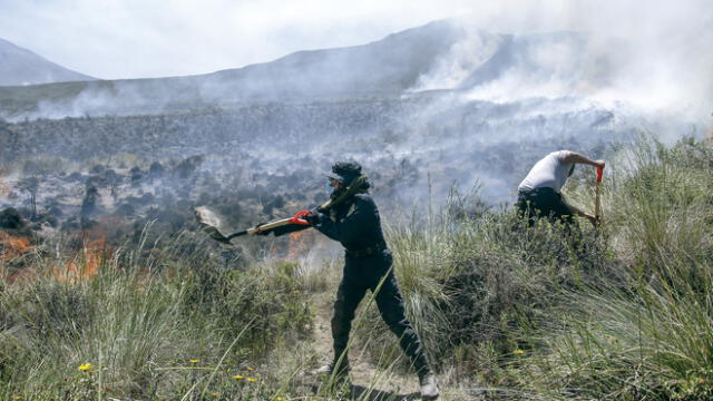 Efectos. La flora arrasada puede demorar en promedio cuatro años en recuperarse, pero depende de otros factores como las lluvias. Foto: Cortesía