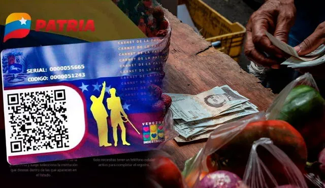 Los Bonos de la Patria permiten a la población adquirir productos en medio de la crisis económica en Venezuela. Foto: composición LR / Carnet de la patria / Twitter / AFP