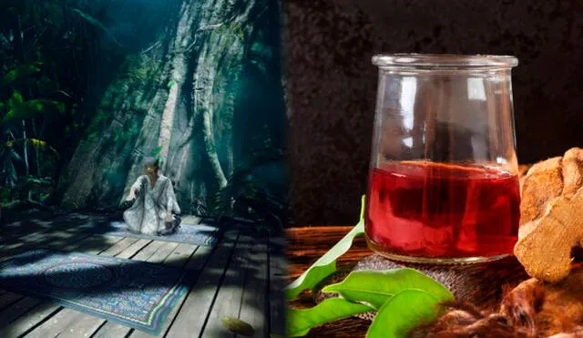 Realiza los viajes más alucinantes a través de estos videojuegos psicodélicos que estarían inspirados en los efectos del ayahuasca. Foto: Ayahuasca/ Astrea/ Cocina Delirante/ composición La República