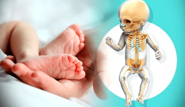 Los bebés nacen con más huesos que los adultos. Foto: composición LR/ ISSSTE