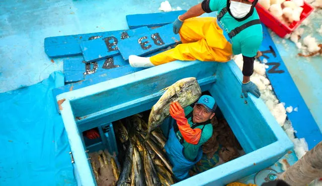 Pescadores artesanales buscan culminar con el proceso de formalización de la flota. Foto: Erin Skoczylas/SFP