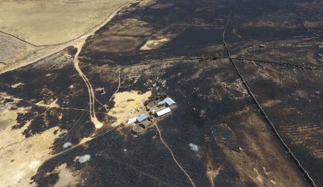 Dos familias quedaron damnificadas y 6 afectadas. Foto: Gobierno Regional Puno