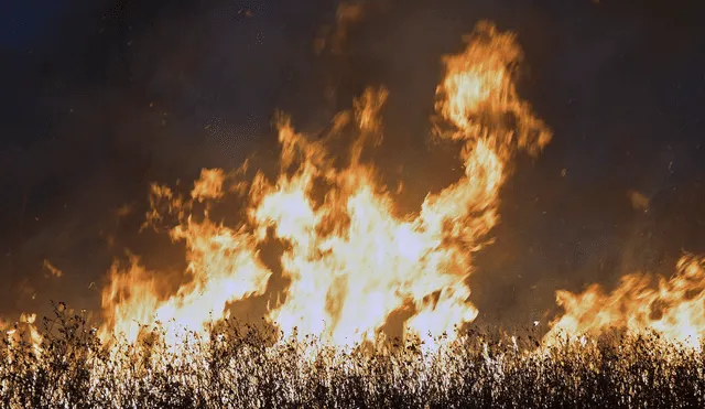 A pesar de que la anciana sobrevivió al fuego, lamentablemente falleció. Foto: AFP