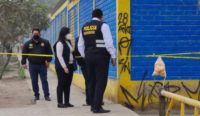 Vecinos señalaron que esta zona es muy insegura, por lo que pidieron mayor vigilancia en el distrito y la instalación de casetas de Serenazgo. Foto: URPI/LR