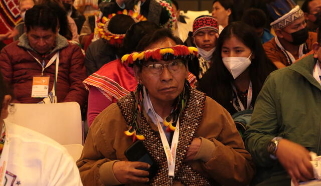 El Estado no representa a los pueblos indígenas, según miembro de la CNDDHH. Foto: V Cumbre de Pueblos Indígenas