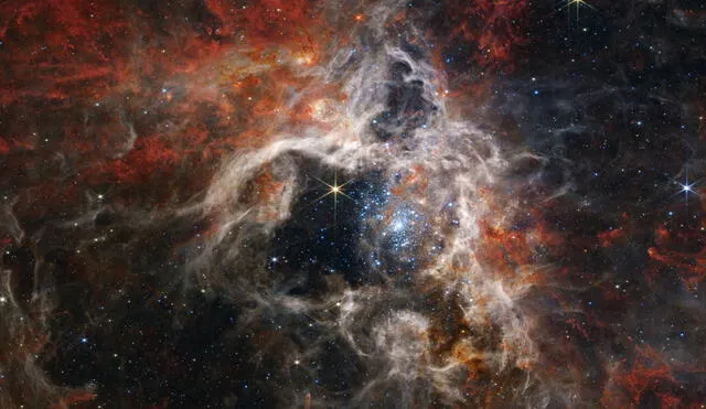 La nueva imagen de la Nebulosa de la Tarántula, que se extiende a lo largo de 340 años luz, revela cientos de miles de estrellas jóvenes en formación. Fue tomada por el instrumento NIRCam del James Webb. Foto: NASA / ESA / CSA / STScl