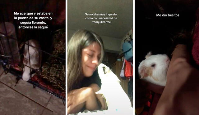 Con amorosas caricias que duraron un largo tiempo, el cuy consiguió su objetivo y animó a la joven. Foto: composición LR/TikTok/@jazminfelixr