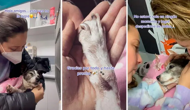 Ambas fueron muy unidas durante 15 años; sin embargo, tuvieron que separarse cuando la perrita perdió la batalla contra el cáncer. Foto: composición LR/TikTok/@anasofiagonzales8