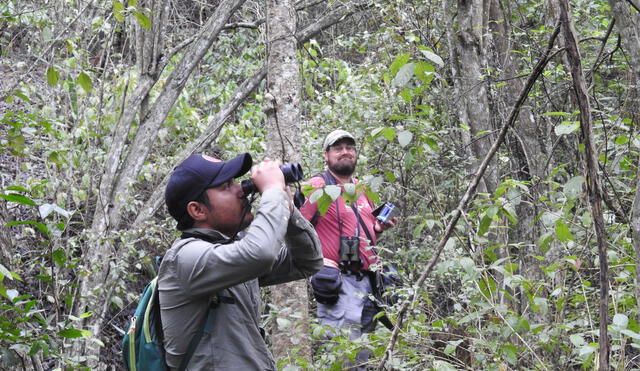 La gran cantidad de aves atrae al turismo vivencial. Foto: NCI