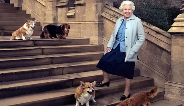 La Reina Isabel II tiene 5 perros de diferentes razas. Foto: Cordon Press