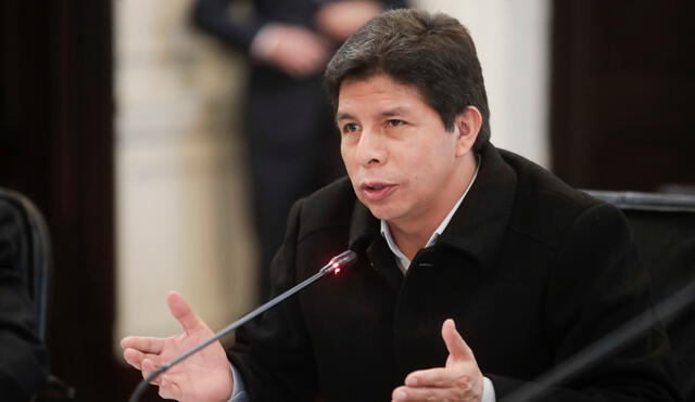 Pedro Castillo también pidió al Congreso que autorice su salida del Perú para asistir a la Asamblea de Naciones Unidas. Foto: Presidencia