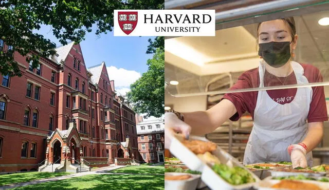 ¿Cuánto cuestá comer en la Universidad de Harvard? Foto: composición LR/Instagram/@harvard