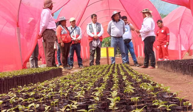 Proyecto tiene una inversión de 15 millones de soles. Foto: IMA Cusco