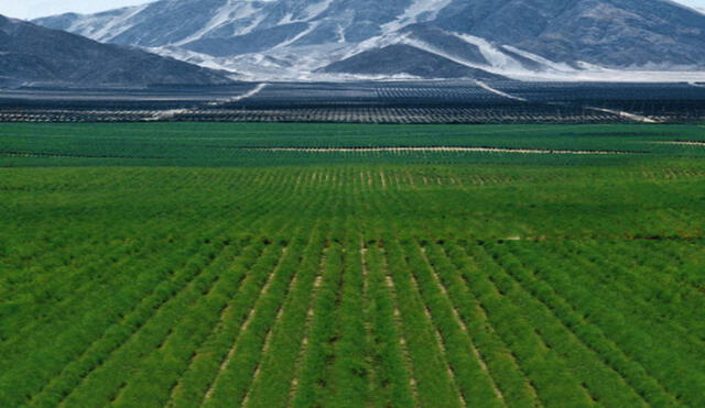 Tercera etapa del PECh generará 100.000 puestos de trabajo. Foto: La República