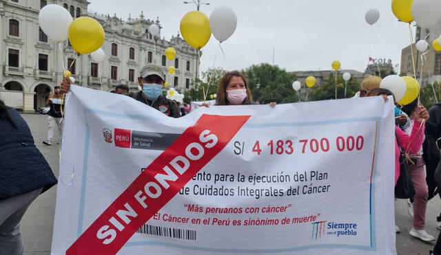 Decenas de menores mueren al año por el cáncer. Foto: Gianella Aguirre/ URPI-LR