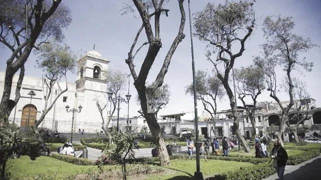 Reclamo. Poda fue cuestionada por ambientalistas. Foto: La República