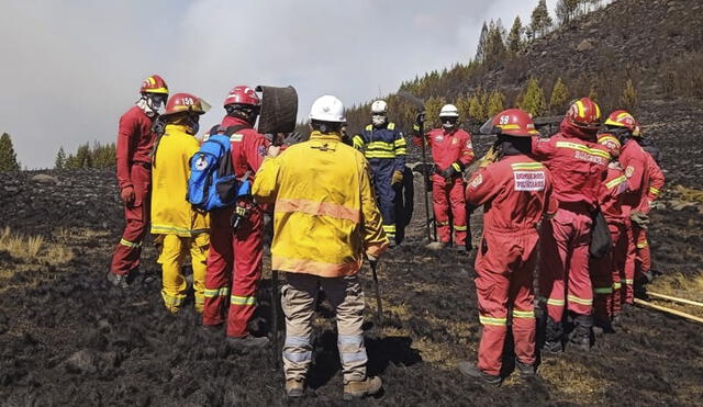 El fuego llegó a afectar 500 hectáreas de plantaciones, entre cultivos y el bosque de pinos. Foto: Compañía de Bomberos Cajamarca N.° 59