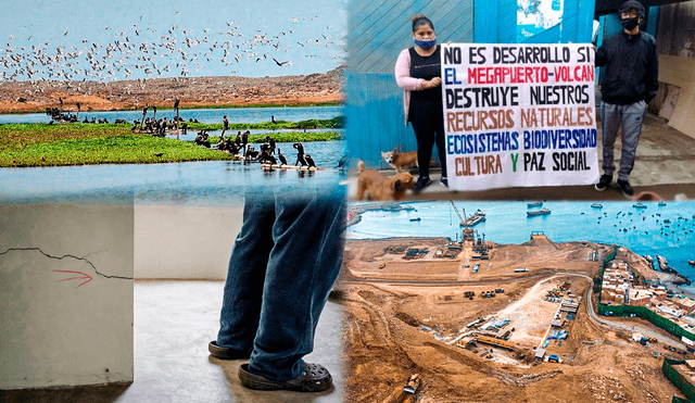 Construcción del megapuerto de Chancay ha generado graves consecuencias ambientales. Foto: La República