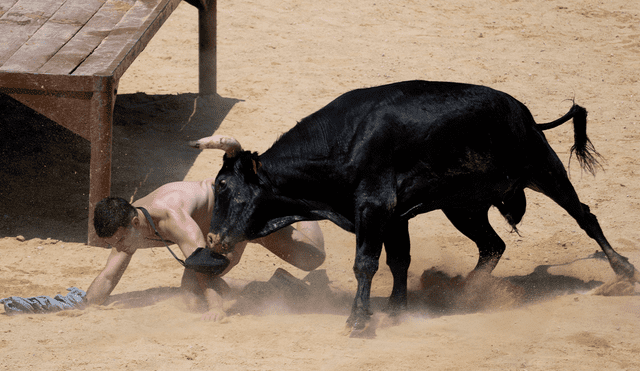 Ante lo sucedido, los defensores de animales hicieron un llamado para que prohíban las corridas de toros en toda España. Foto: AFP.