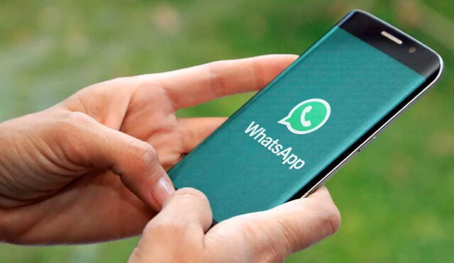 Este truco de WhatsApp se puede aplicar en iOS y Android. Foto: Urban Tecno