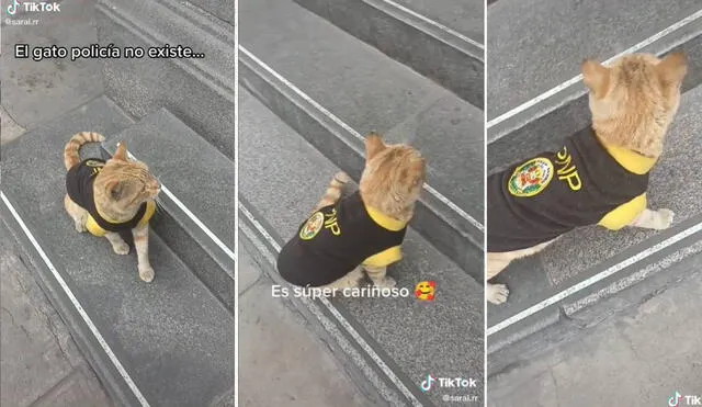 El hilarante momento se viralizó rápidamente en las redes sociales. Foto: composición LR/captura de TikTok/@sarai.rr