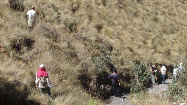 Ruta. Camino Inca fue escenario de dos muertes en Cusco. Foto: La República