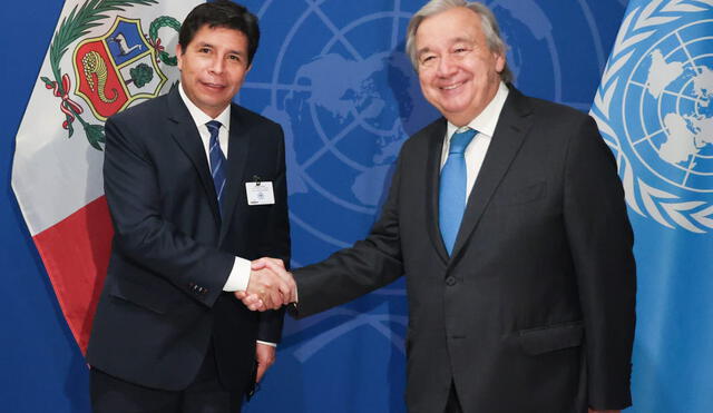 Pedro Castillo en la ONU