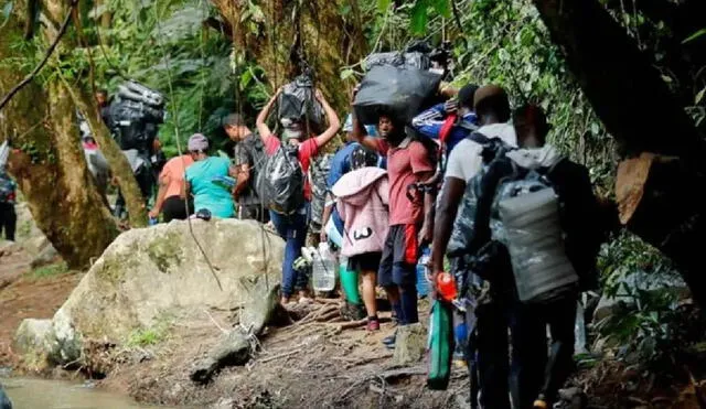 Miles de personas cruzan a diario por la selva del Darién, por lo que se reportan diversos casos de desaparecidos. Foto: La Nación