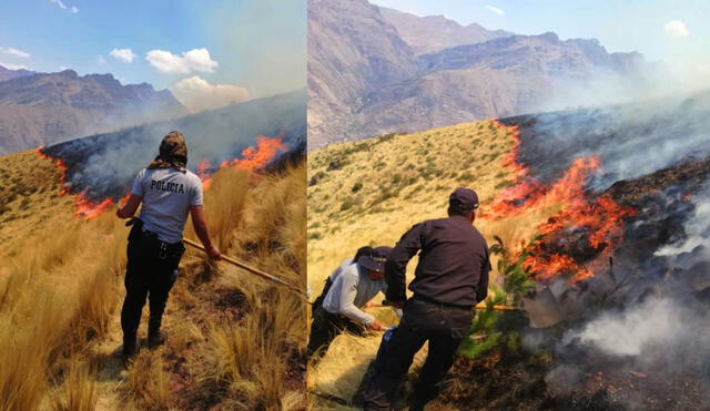 Incendios consumen flora de 3 provincias cusqueñas. Foto: Defensa Civil Checacupe