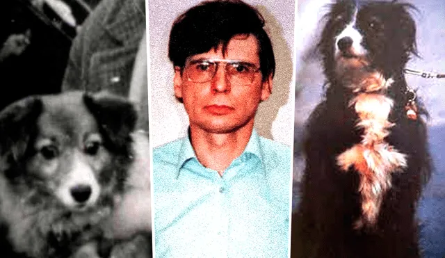 Dennis Andrew Nilsen, asesino en serie y necrófilo británico, mató a 15 hombres jóvenes entre 1978 y 1983 en Londres (Inglaterra). Foto: composición LR / Twitter @SeriousStrange