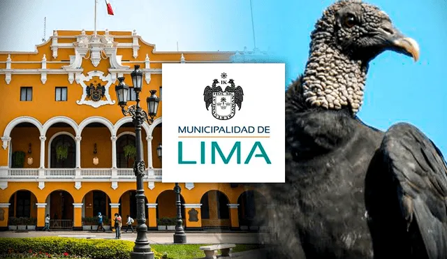 Gallinazos en Lima: aves no aparecen en el escudo de la municipalidad de Lima. Foto: composición Gerson Cardoso/LR/Municipalidad de Lima/Andina