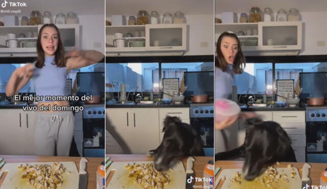 Miles de usuarios no han parado de reír con esta escena. Foto: composición LR/TikTok/@mili.nopili