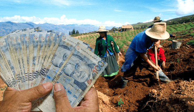 Primer listado del Fertiabono incluye solo a agricultores con hasta 1 hectárea de cultivos inscritos en el PPA. Foto: composición LR/Andina