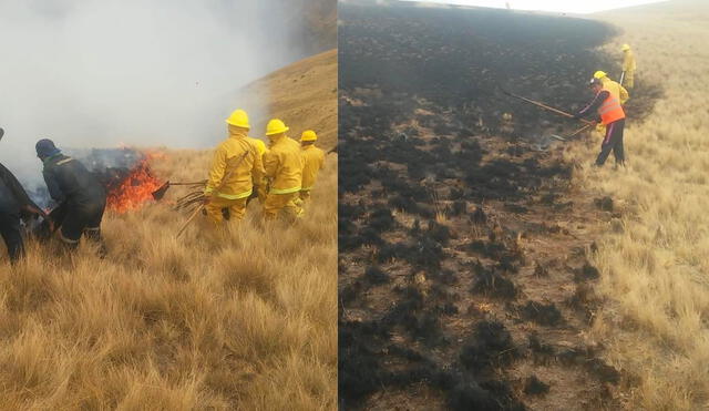 Incendio forestal en Ccatcca, Quispicanchi. Foto: Codisec