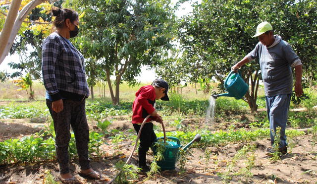 Disminuye índices de desnutricón crónica en Sechura. Foto: La República