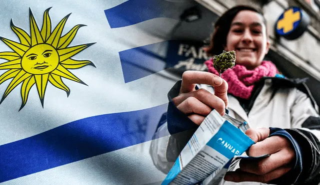 La venta de cannabis para uso recreativo en farmacias comenzó en julio de 2017 | Foto: Marca País Uruguay | Composición: La República