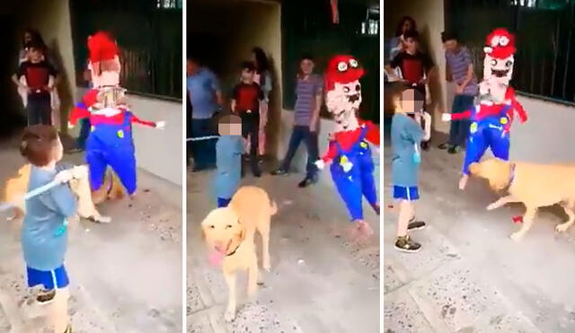 El cumpleañero se tomó su tiempo para romper su piñata de Mario Bros, sin imaginar que su mascota iba a arruinar ese momento. Foto: composición LR/Facebook