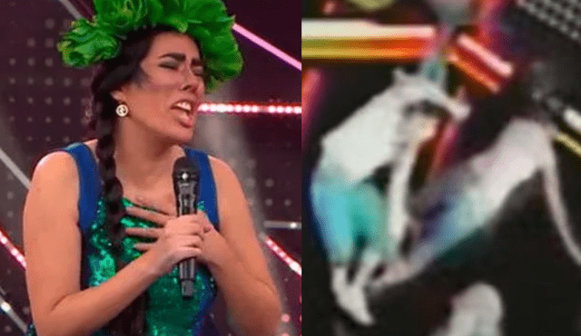 La Pánfila contó que Luis Baca ni se disculpó con ella tras caída en "El gran show". Foto: composición LR/captura de América TV