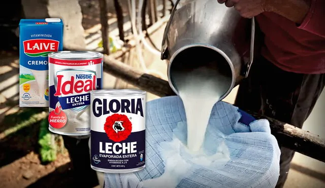 Ganaderos optan por vender la leche fresca que producen a Nestlé y Laive porque Gloria les bajó el precio por litro. Foto: composición LR / captura de video de Agalep