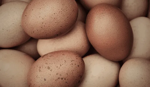 Huevo boliviano subsidiado. Avisur es un gremio avícola que representa a más de 400 granjas del sur del país. Foto: composición/La República