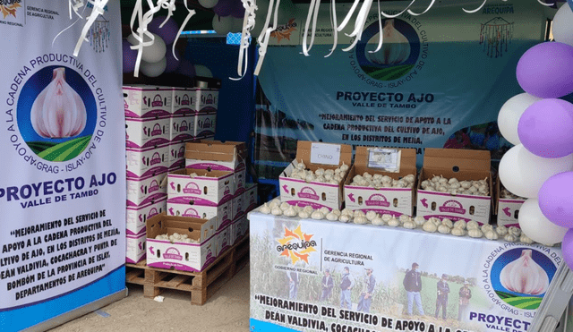 Mejoramiento de los servicios de apoyo a la cadena productiva del cultivo de ajo. Foto: GRA