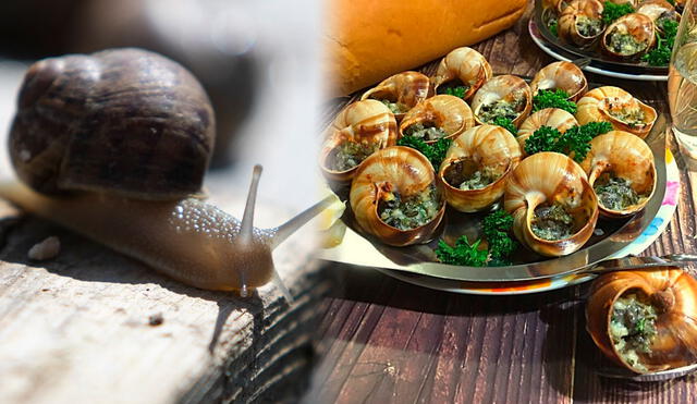 Platos como los escargots a la bourguignonne son estrellas de la gastronomía francesa. Foto: composición LR / AFP / Just A Pinch