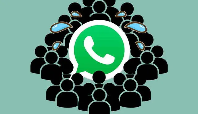 Esta actualización de WhatsApp llegará a iOS y Android. Foto: MóvilZona