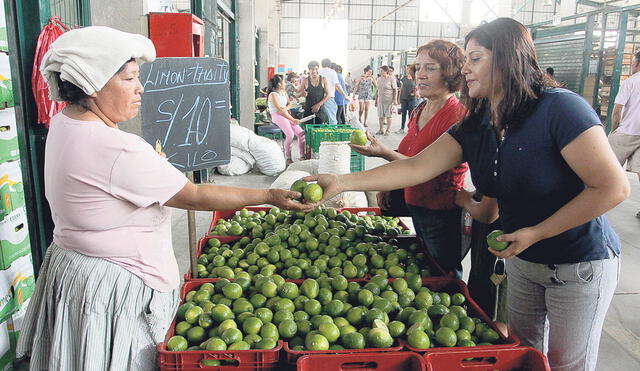 Causa. No es época de cosecha de limón en principales zonas. Foto: difusión