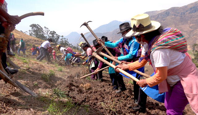 Midagri lanza Siembra Más, programa de créditos para comprar insumos agrícolas y fertilizantes. Foto: Midagri