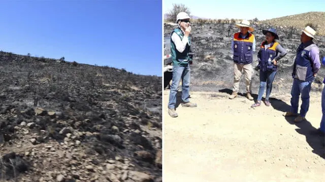 Arequipa. Incendio fue controlado por personal del Ejército que acudió a la zona de emergencia. Foto: COER - Serfor