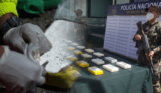 Conoce qué indica la norma sobre el destino de la droga que se incauta en el Perú. Foto: composición LR/AFP/ La República