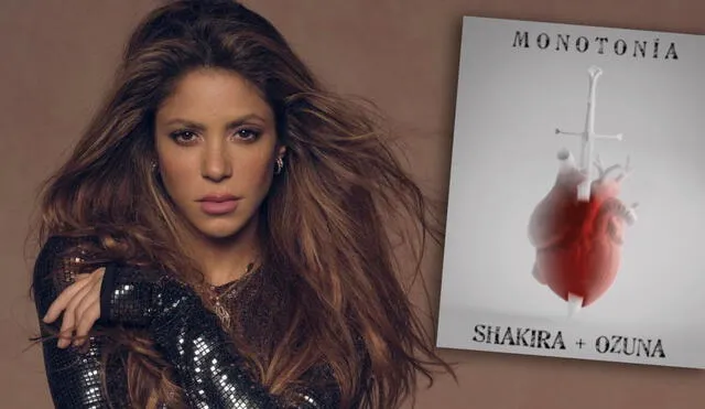 Shakira ha emocionado a sus fanáticos al mostrar el estilo de su nueva canción. Foto: composición Instagram/Shakira