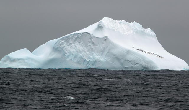 El ADN fue hallado bajo el suelo del mar de Scotia, al norte de la Antártida. Foto: Thomas Ronge